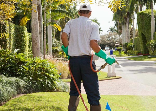 About Nashville TN Pest Control Pros